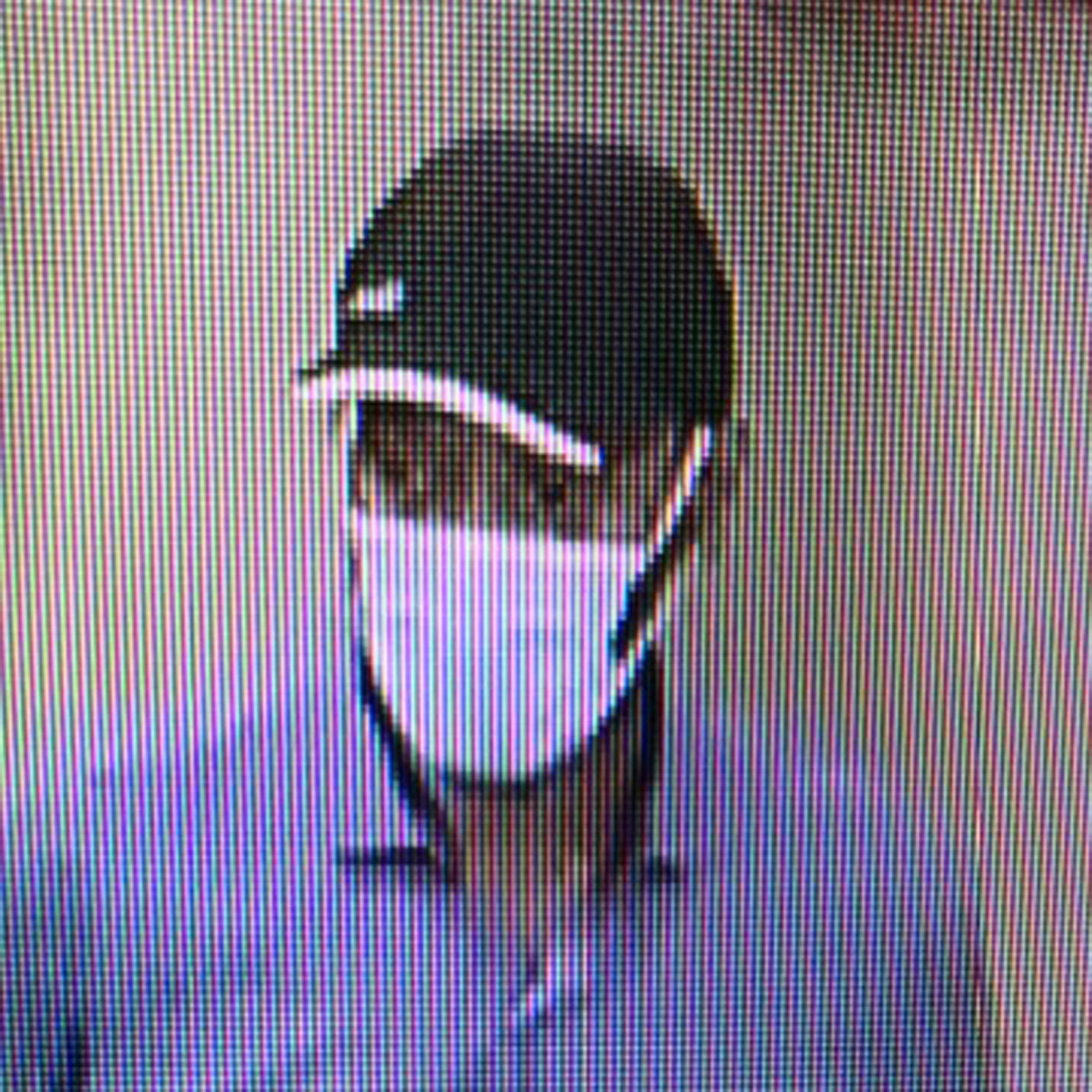 Shelbyville suspect 3